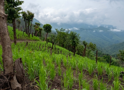 Évaluation à mi-parcours du projet NRSC du GRET et de TGH au Myanmar