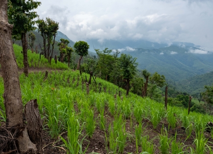 Mid-term evaluation of NRSC project, implemented by GRET and TGH in Myanmar