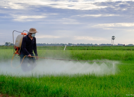 Study on services to irrigating farmers