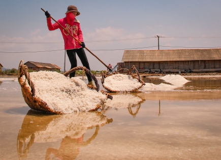 Support the development of a commercial and technical partnership between the Guérande cooperative and salt producers of Kampot and Kep (Cambodia)
