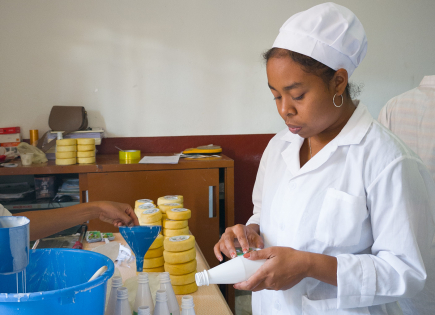 Support for the implementation of a quality label and guarantee system in the dairy sector in Madagascar (2)